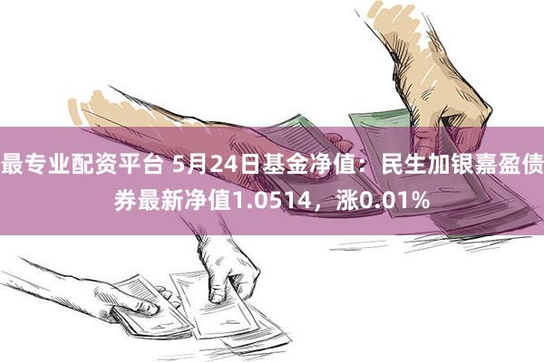 最专业配资平台 5月24日基金净值：民生加银嘉盈债券最新净值1.0514，涨0.01%