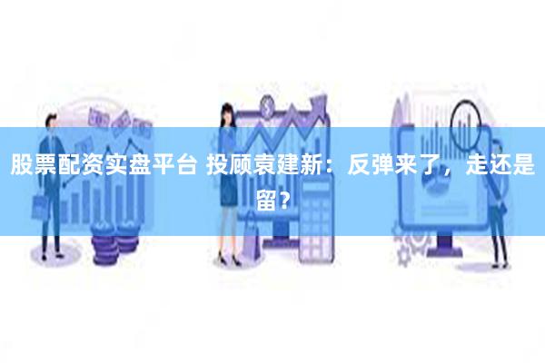 股票配资实盘平台 投顾袁建新：反弹来了，走还是留？