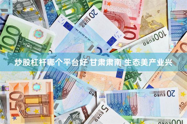 炒股杠杆哪个平台好 甘肃肃南 生态美产业兴