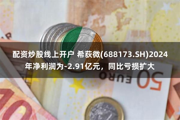 配资炒股线上开户 希荻微(688173.SH)2024年净利润为-2.91亿元，同比亏损扩大
