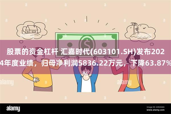 股票的资金杠杆 汇嘉时代(603101.SH)发布2024年度业绩，归母净利润5836.22万元，下降63.87%