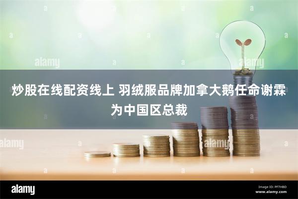 炒股在线配资线上 羽绒服品牌加拿大鹅任命谢霖为中国区总裁