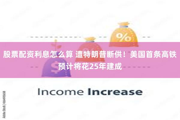 股票配资利息怎么算 遭特朗普断供！美国首条高铁预计将花25年建成